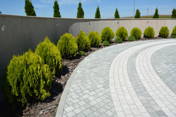 Best Professional Driveway Pavers  in Sappington, MO